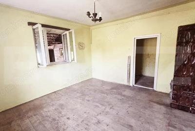 Casa individuala cu 2 camere, 740 mp teren, zona Ultracentrala Casa individuala cu 2 camere, 740 mp teren, zona Ultracentrala - 4