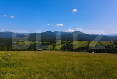 Teren de 2817 mp, în Piatra - 5