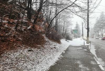 Teren de 4220 mp, în Bușteni - 8