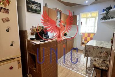 Apartament cu 3 camere decomandat, mobilat în Lăpuș Argeș - 3