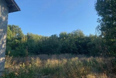 Casă cu Teren 1300 Mp în Vârvor - 1