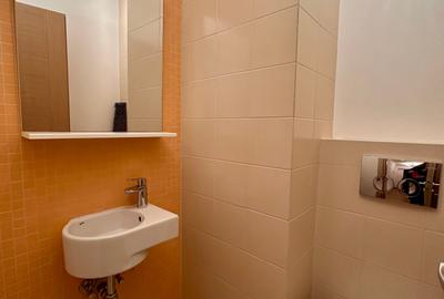 Apartament de 2 camere Armeneasca Rosetti - 11
