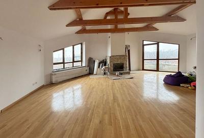 VILA in Craiter - Confort si functionalitate - 6