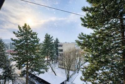 Apartament cu 2 camere semidecomandat, mobilat în Tudor - 2