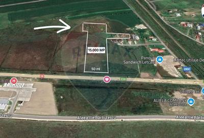 Teren de vanzare 1,5 ha, oportunitate de investitie in Dumesti - IASI - 2