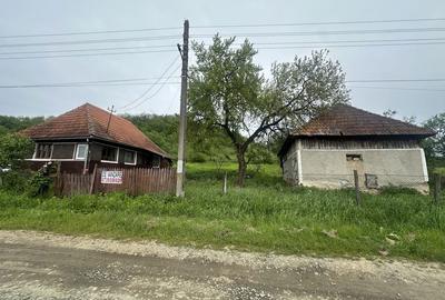 Spațiu comercial, în Brusturi - 7