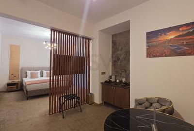 Apartament cu 3 camere decomandat, mobilat în Armeneasca - 14