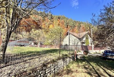 Teren intravilan cu PUZ 4000 mp -Sacele  - Bradet - 1