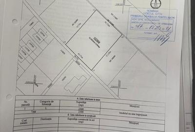 Spațiu comercial, în Central