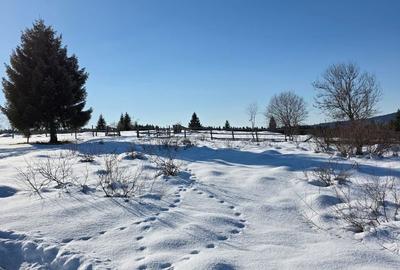 Spațiu comercial, în Beliș - 1