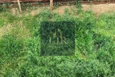 Casă cu 4 camere cu Teren 170 Mp în Valea Lupului - 5