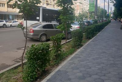 Spațiu comercial, de 22 mp, în Alexandru cel Bun