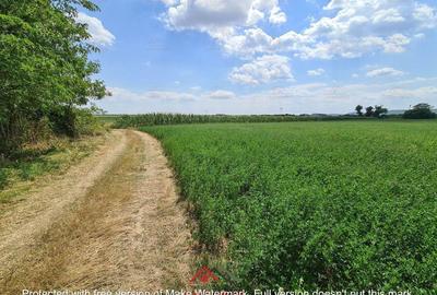 Teren intravilan in Urleta 5300mp--45.050e - 1