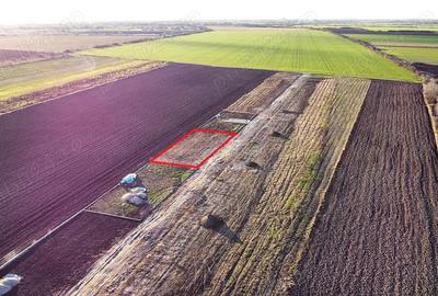 Teren intravilan 743 mp la intrarea in Odoreu - 7