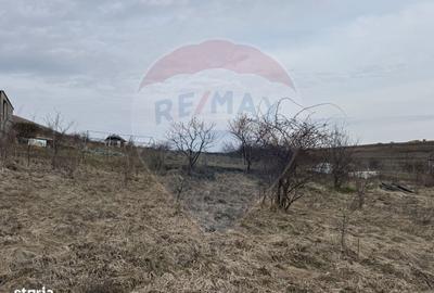 Spațiu comercial, în Sălicea - 16