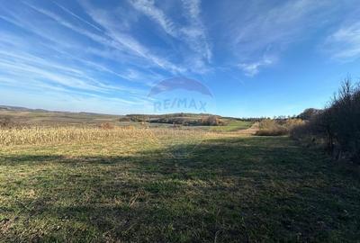 DE VANZARE - teren in ograda - 1