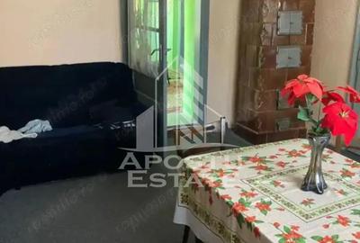 DE VANZARE casa solida LA 30 km de Timisoara - 1