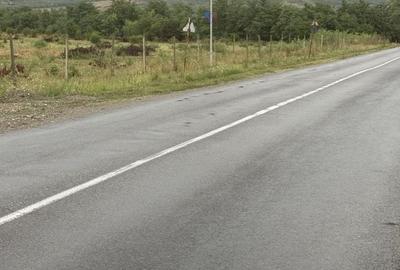 Teren de 500 mp, în Dumbrăvești - 1