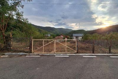 Teren cu autorizatie construire pensiune, Caciulata - 4