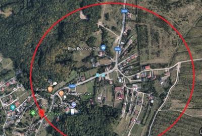 Teren Construcții intravilan de 3430 mp, în Făget