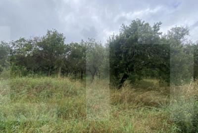 Teren de 5150 mp, în Simeria