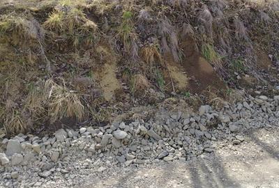 Teren Construcții intravilan de 1340 mp, în Dumbrava 2 - 2