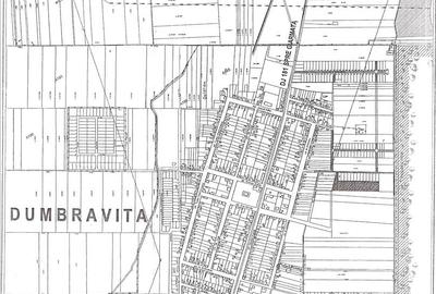 IMODIVERS--Superlocatie,Comercial, 1570mp,Dumbravita,170E/mp