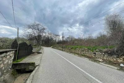 Vanzare teren intravilan - Runcu - oportunitate intr-o zona turistica deosebita - 8