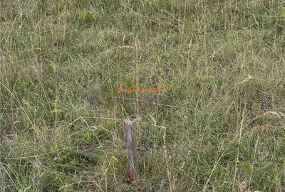 Teren agricol intravilan de 1380 mp, în Gheorgheni - 4