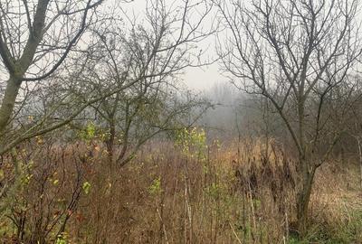 Casă de vânzare în mediul rural - 14