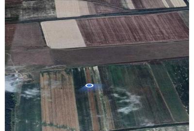 Spațiu comercial, în Oșorhei - 2