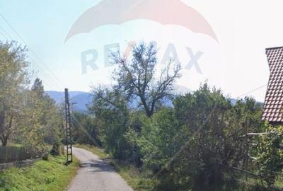 Teren ideal pentru casa 1,500mp Berinta / Strada principala