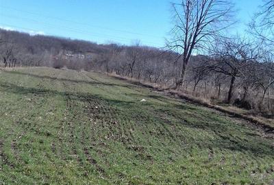 Casă cu 3 camere în Păduroiu din Vale - 1