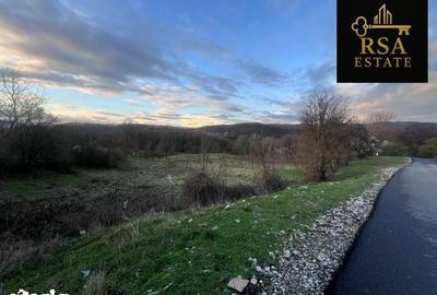 Teren de 2200 mp, în Goranu - 4
