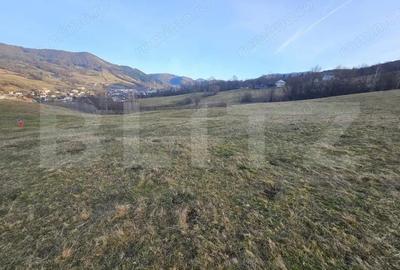 Teren intravilan de 16667 mp, Sosea de Centura, Abrud - 5