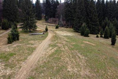 Teren cu potential:1.000 mp,proiect turistic/rezidential,Poiana Brasov - 9