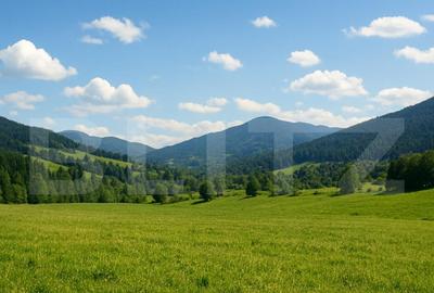 Teren intravilan de vanzare, 7.000 mp, Vatra Dornei - 1
