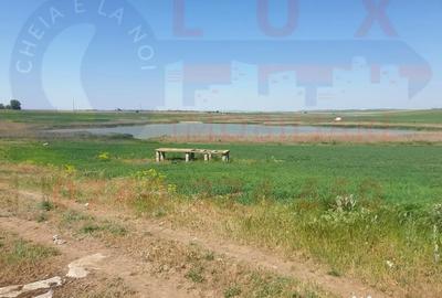 Teren de 19000 mp, în Murighiol - 6
