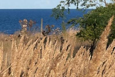 Teren deosebit cu mare potențial, la malul Mării Negre - 6