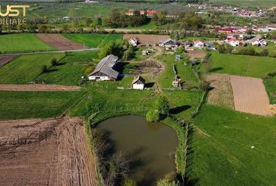 Teren agricol intravilan de 13725 mp, în Posmuș