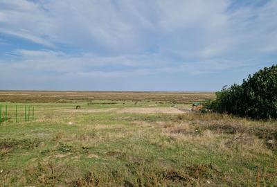 Spațiu comercial, în Vadu - 4