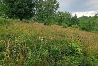 Teren intravilan 1000 mp - 7