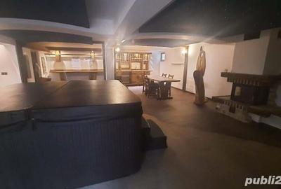 Loc. Unguras (jud, MM) - proprietate deosebita - 11