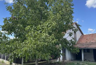 Casă cu 2 camere în Cheresig - 6