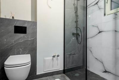 Apartament complet renovat  de vânzare // 2 camere  // Dristor // Park Lake - 9