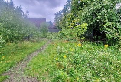 Curte Generoasa Pretabil After School - 2