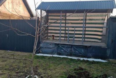 Casă individuală cu 4 camere cu Teren 5526 Mp în Cheșa - 12