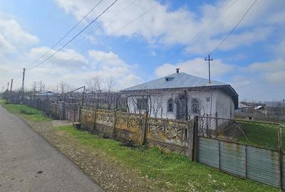 Casă cu 4 camere cu Teren 2170 Mp în Nucetu - 7