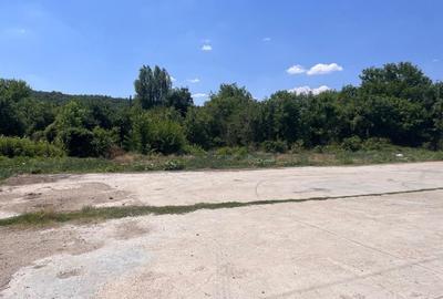 Investitie de viitor! Teren intravilan 8554 mp-Bucovat - 11