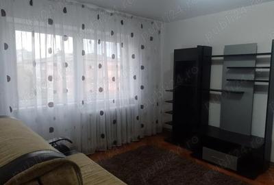Apartament cu 2 camere semidecomandat în Cetate - 9